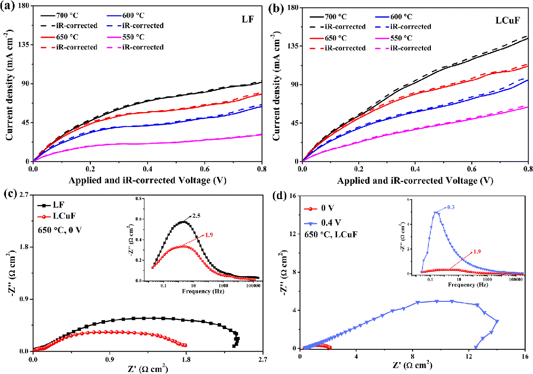 mmexport1735962611500.jpg